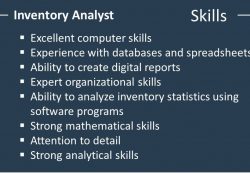 Skills of An inventory Analyst