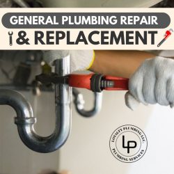 Keep your Plumbing Systems in Top Shape