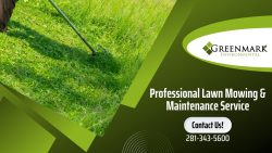 Landscape Maintenance & Installation Service