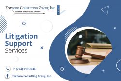 Health Care Litigation Support Services