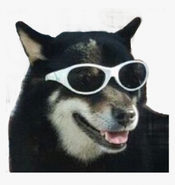Download Dog Meme Templates Free