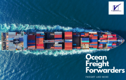 Ocean Freight Forwarders | Freight and More