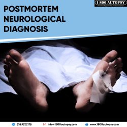 Postmortem Neurological Diagnosis