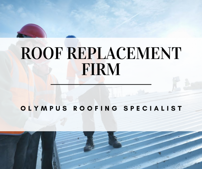 Roof Replacement Firm