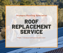 Increase Home’s Curb Appeal With Roof Replacement