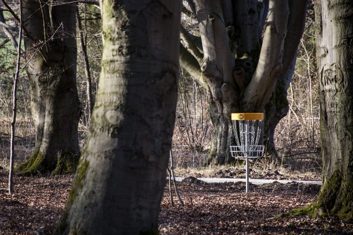 Everything You Want To Know About the Most Trending Disc Golf Basket