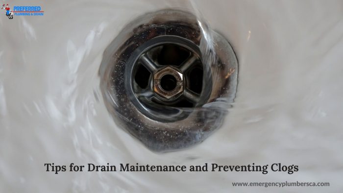 Drain Cleaning and Clog Prevention Advice