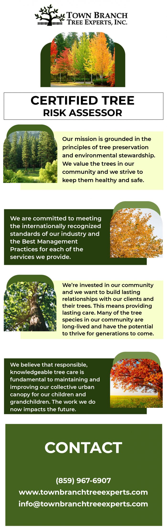 Certified Tree Risk Assessor Service in Lexington | Town Branch Tree Expert