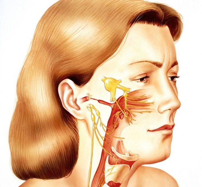 Get The Best Aid For The Trigeminal Neuralgia Treatment In Jaipur