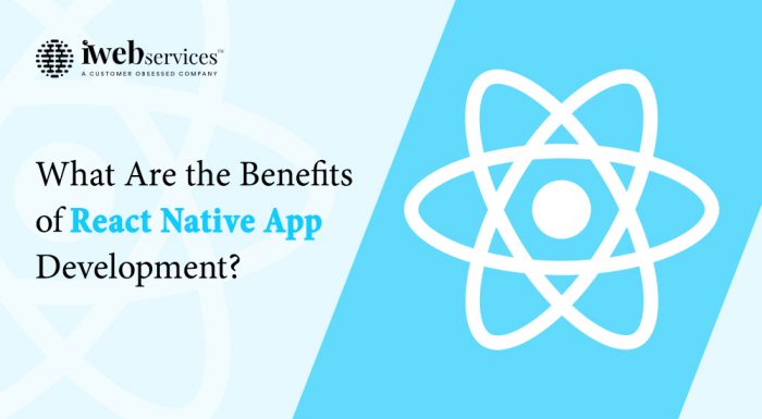 What Are the Benefits of React Native App Development?