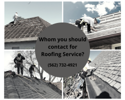 Whom you should contact for Roofing Service?