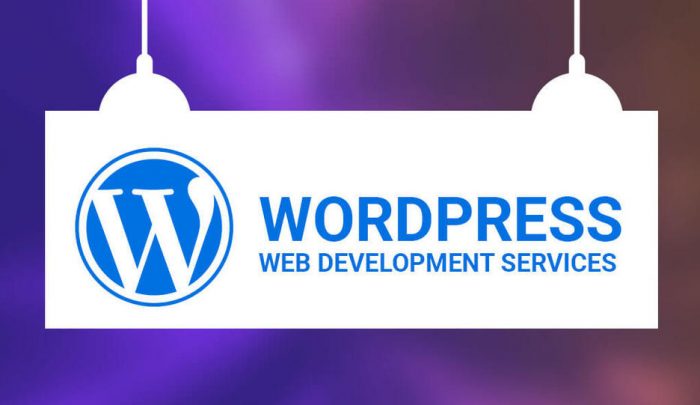Custom WordPress Website Development Services In Sweden