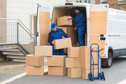 Removal Firms