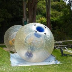 human hamster ball﻿