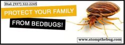 Get Bed Bugs Control Services at Bug Stompers Inc