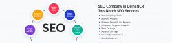 Which is The Best SEO Company in Delhi?