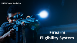 Firearm Eligibility System