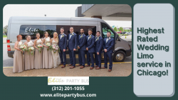 Highest Rated Wedding limo services in Chicago