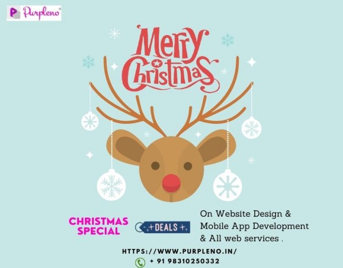 Wonderful Christmas Bonanza – 30% Off on All Web Services