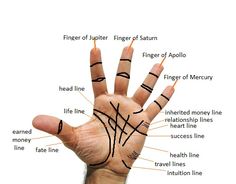 Palm Reading: A Beginner’s Guide for How to Read Palms