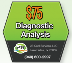 $75 Diagnostic Analysis