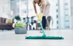 Domestic Cleaning Christchurch | Biome