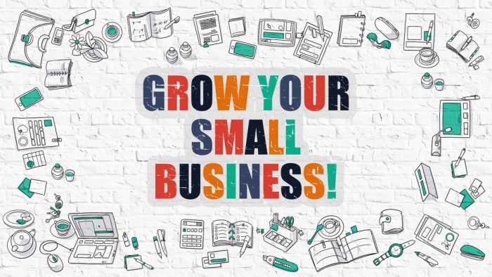Growing And Expanding Your Business