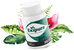 Exipure Reviews: Real Results or Fake Claims – Must Read Before Buy