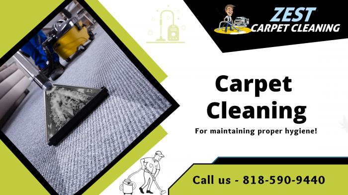 Extract Dirt From Carpets With Technicians
