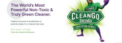 Family Safe Green Cleaner