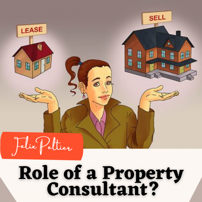 Felix Peltier – What to Expect From a Property Consultant?