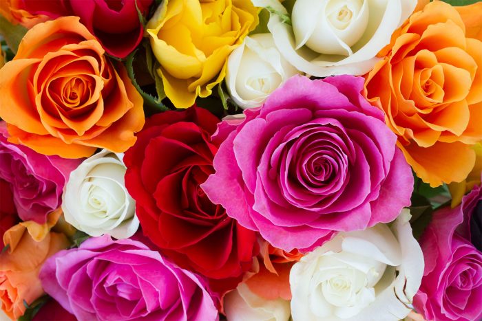 How to Arrange Flowers Like a Pro in Easy Steps