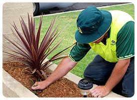Best Gardeners in Perth