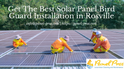 Get The Best Solar Panel Bird Guard Installation in Roseville