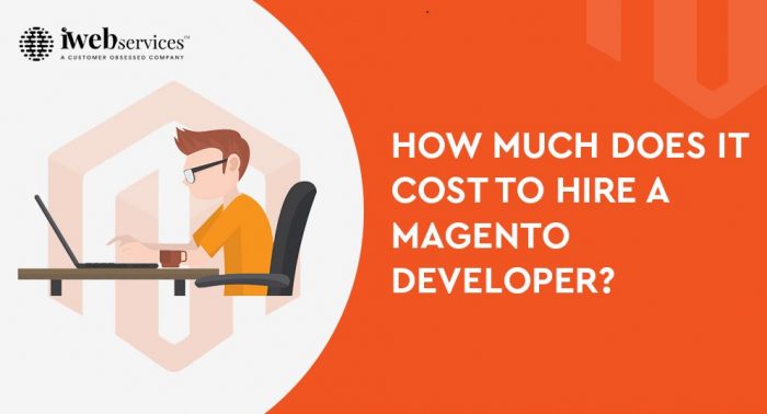 How Much Does It Cost to Hire a Magento Developer | iWebServices