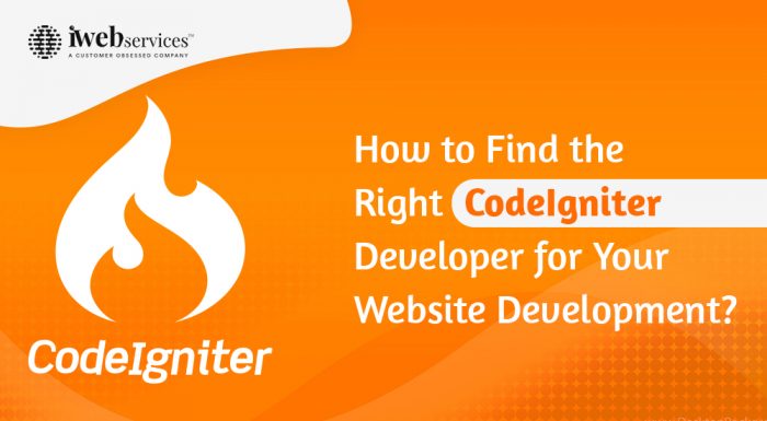 How to Find the Right Codeigniter Developer for Your Website Development?