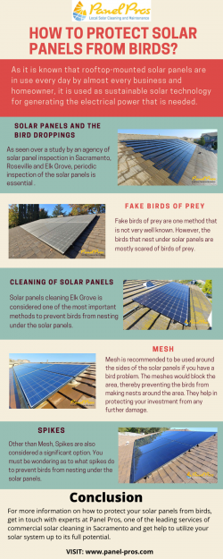 How to protect Solar Panels from Birds?