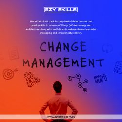 Best change management practitioner at EZY Skills