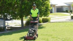 Lawn Mowing Thornhill Park