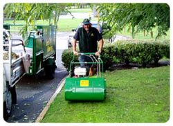 Take the Best Lawn Mowing Service in Perth