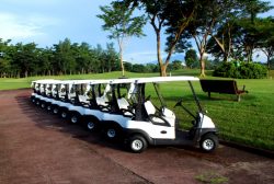Lithium Golf Cart Batteries Sale