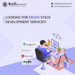 Choose the Best Mean Stack Development Services in India | iWebServices