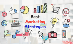 Maximize Your Marketing Efforts