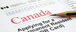 Canada Immigration Consultants in Qatar