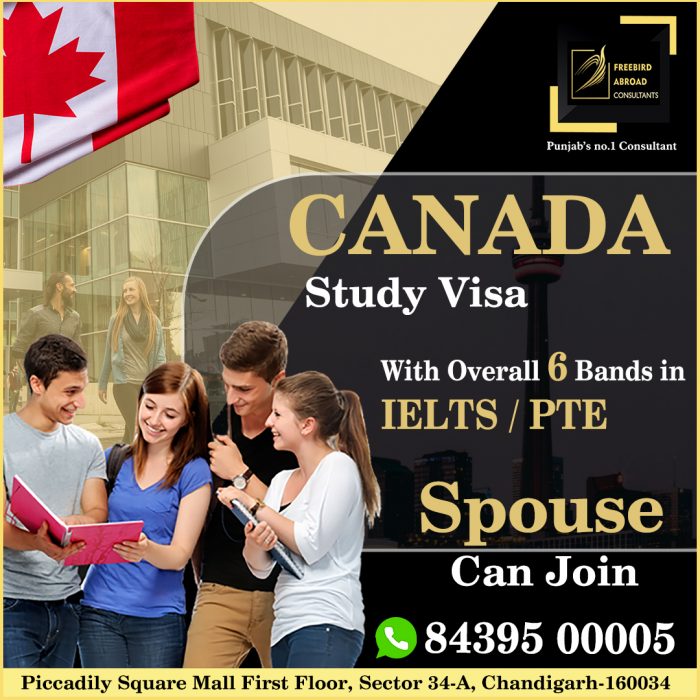Canada Study Visa Overall 6 bands in IELTS