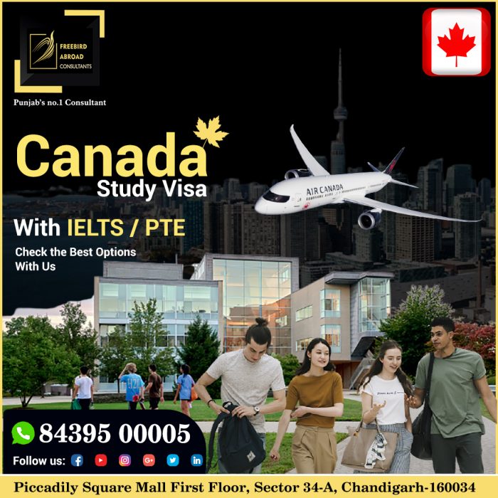 Canada Study Visa Overall 6 bands in IELTS