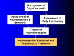 Services For Neuropsychology