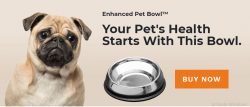 Pet bowl