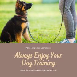 Peter Hargreaves Dogharmony – Enjoy your Dog Training