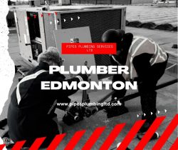 Need Professional Plumber Edmonton